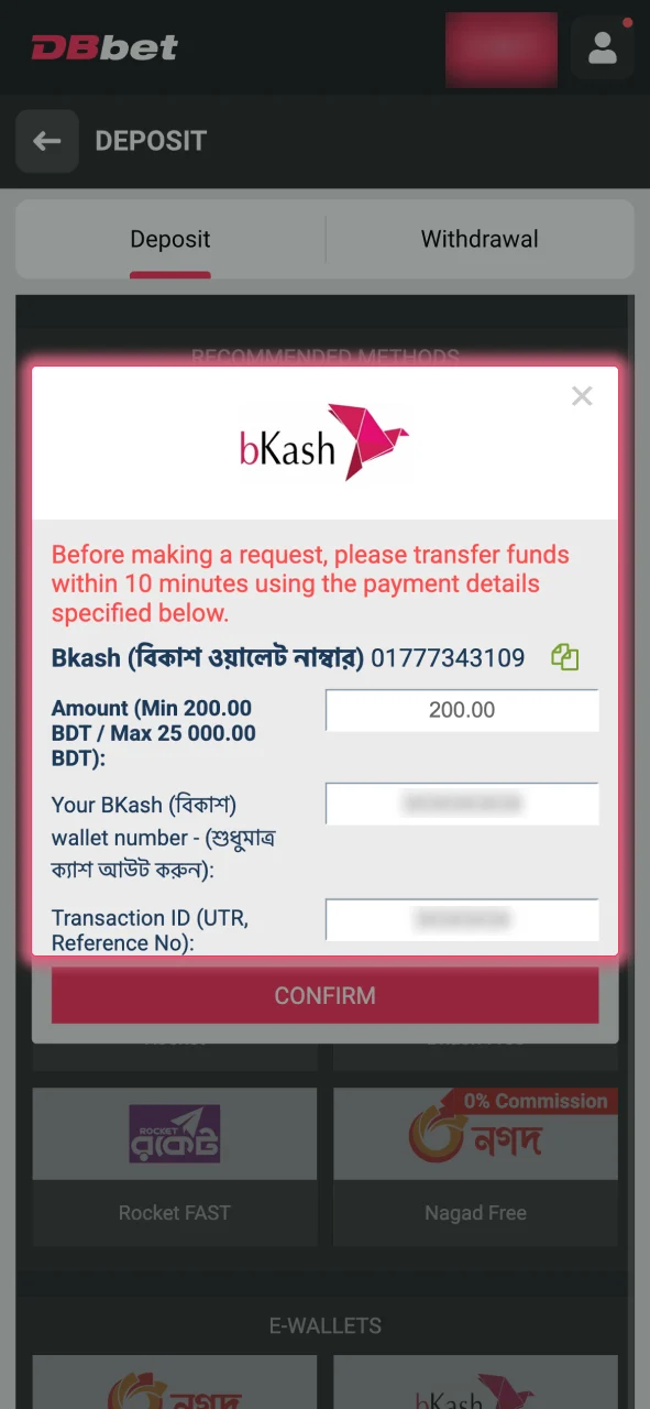 Enter your account details and transaction amount at DBbet.